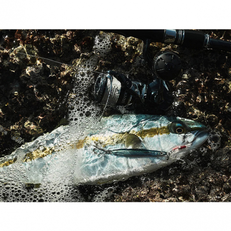 Без имени-412.jpg